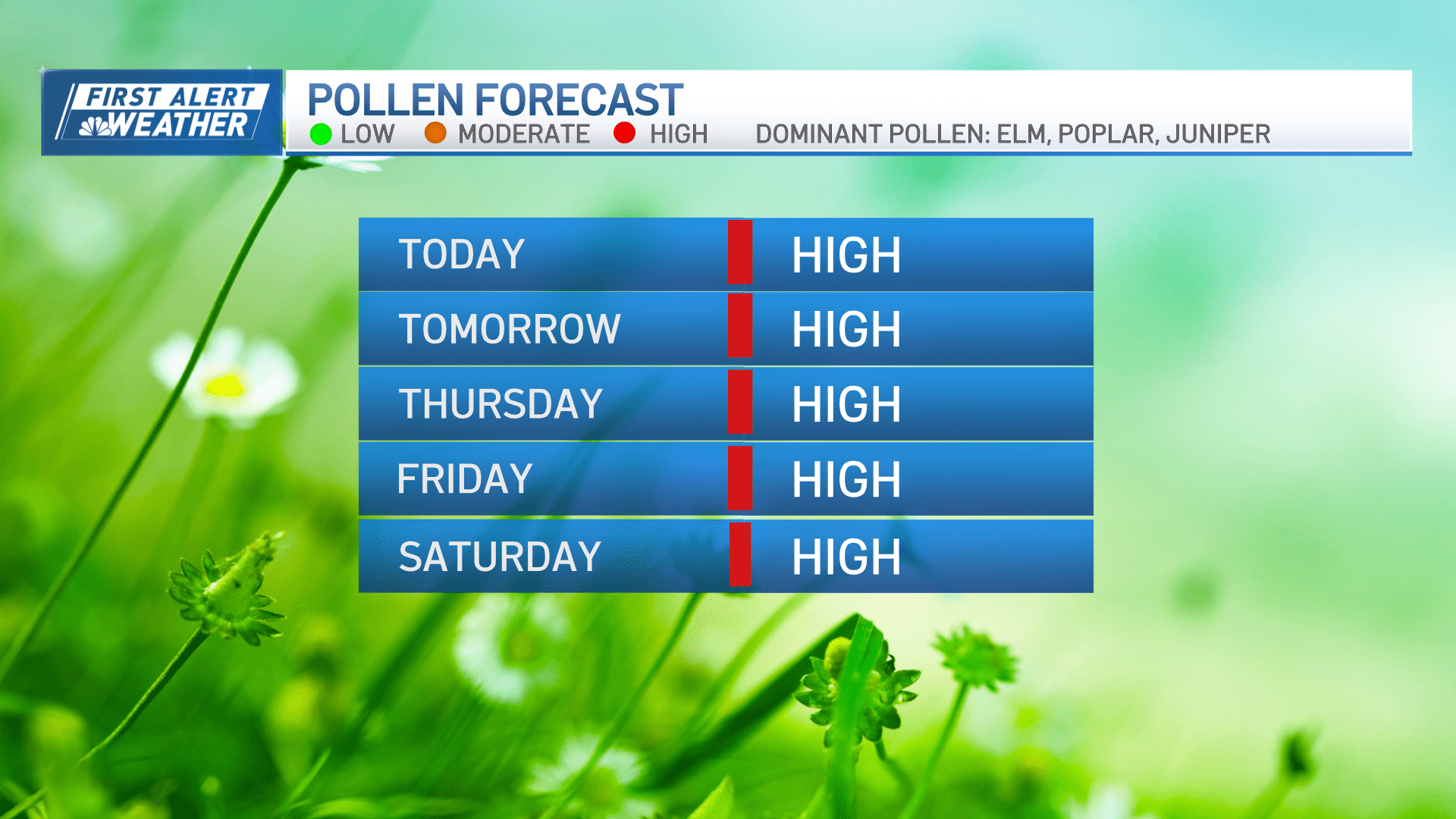 A graphic noting that the pollen forecast is high through Saturday in the Greater Boston area.