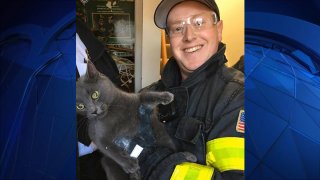 "Phoebe" the cat was rescued by the Hyannis Fire Department on Thursday, Jan. 23, 2020 after becoming stuck in the void of a wall.