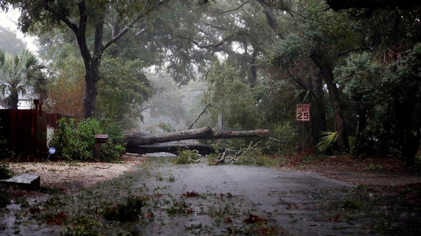 Hurricane Matthew Georgia