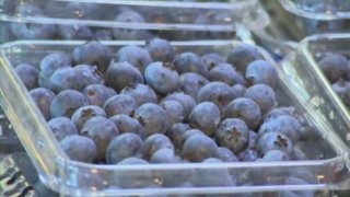 Blueberries110112