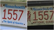 Both License Plates 1029