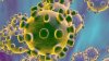 NH's 1st Coronavirus Patient, Told to Stay Isolated, Went to Event Instead