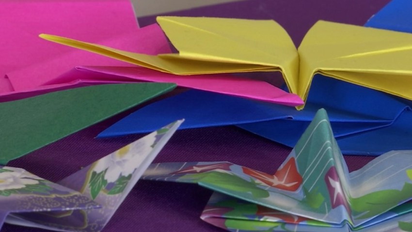 Vermont Homeless Charity Looking For Origami Butterfly