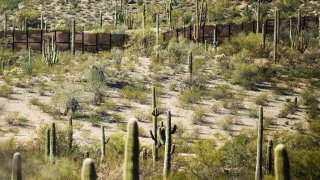 The border fence is surrounded by cacti at Organ Pipe Cactus National Monument near Lukeville, Arizona