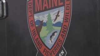 Maine Game Warden generic