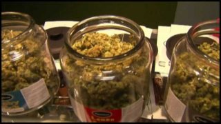 Marijuana Jar Marijuana Dispensary Cannabis Shack Biddeford Maine