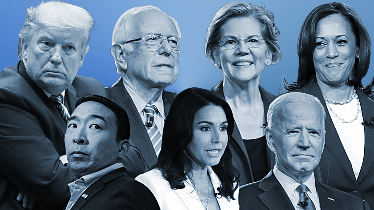 New Hampshire race profile: 2020 candidates for president