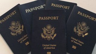 Generic Passports 03