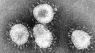 Foto del coronavirus bajo el microscopio
