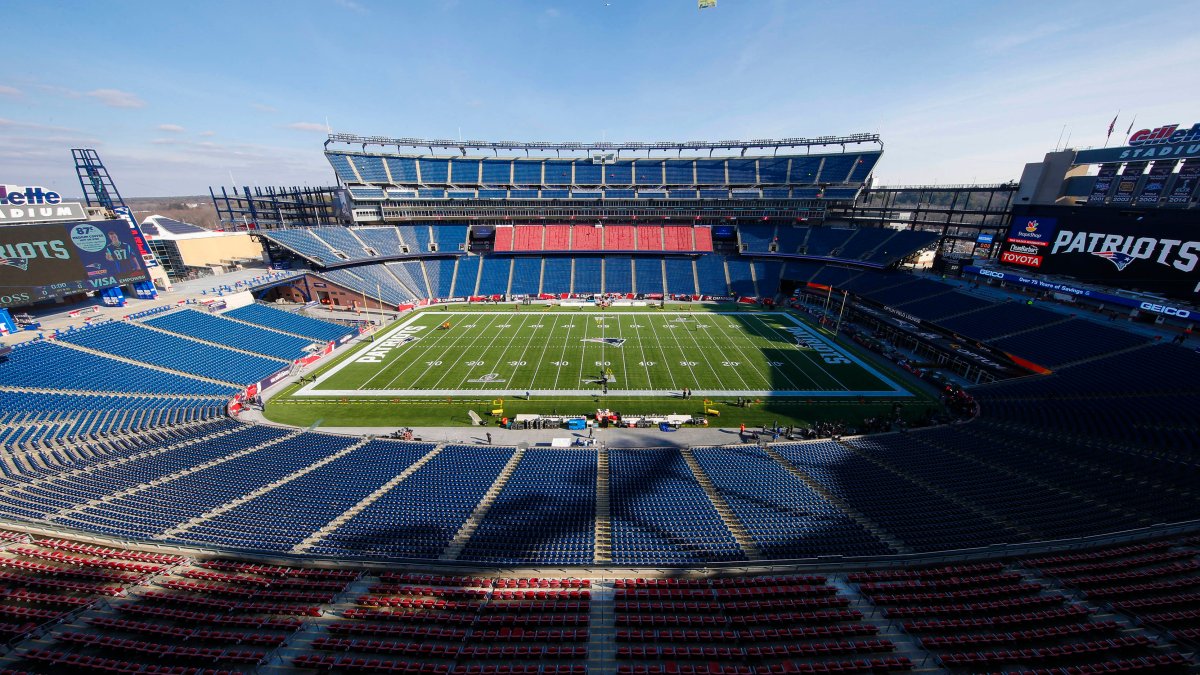 gillette stadium dinosaurs