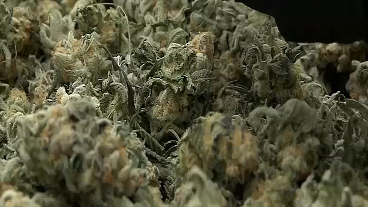 Legal Recreational Marijuana Goes on Sale in Vermont