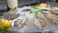 ReelHouse Oyster Bar Opens in Boston's Seaport District