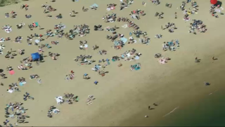 People sunbathing on a South Boston beach