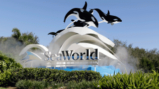 FILE - In this Jan. 31, 2017 file photo, the entrance to Sea World is seen, in Orlando, Fla. SeaWorld reports financial results Thursday, Nov. 7, 2019.