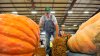 Topsfield Fair Kicks Off, Bringing Food, Music and Giant Pumpkins