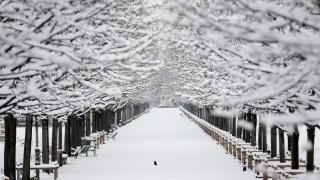 In this Feb. 7, 2018, file photo, the snow covered Tuileries garden are pictured following heavy snowfall in Paris.