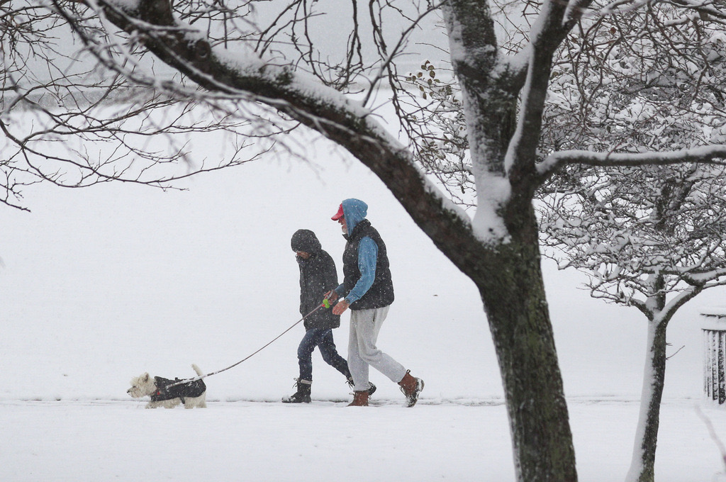 A couple with a dog in Lynn, Mass.