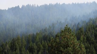 Smoke rises from prescribed burning of log piles, part of the Marshall Woods Restoration Project at the Rattlesnake National Recreation Area in the Lolo National Forest September 19, 2019 in Missoula, Montana.