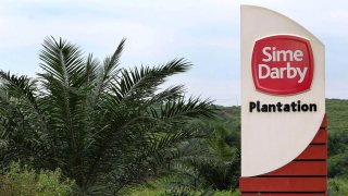 A Sime Darby Bhd. oil palm plantation with sign on the right