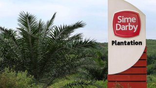 A Sime Darby Bhd. oil palm plantation with sign on the right