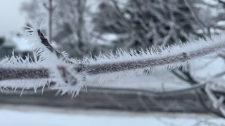 Ice forming on trees amid heavy snowfall in Duluth, Minnesota.