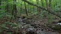 Project conserves 3,700 acres of forest in northern New Hampshire​