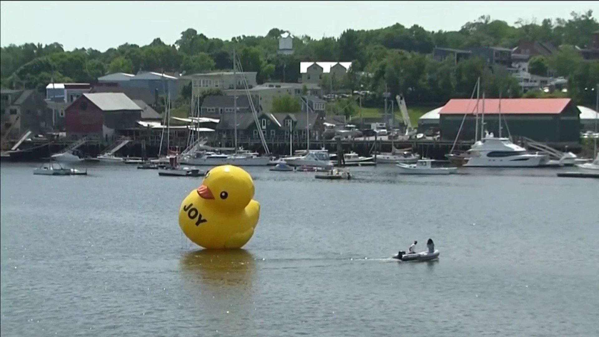 Giant rubber ducky appears in Belfast Harbor, charms the city
