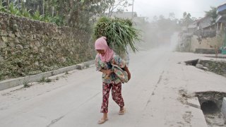 A woman carries grass to feed her cattle as she walks through volcanic ash from the eruption of Mount Merapi in Dukun, Central Java, Indonesia, Monday, Aug. 16, 2021. The volcano is the most active of more than 120 active volcanoes in Indonesia and has repeatedly erupted with lava and gas clouds recently.