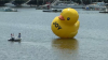 A Giant Rubber Duck Appeared in a Maine Harbor — and No One Knows Why