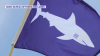 Shark Warning Flags See Action at Maine State Beaches a Year After Deadly Attack