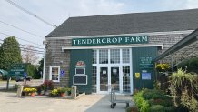 Tendercrop Farm in Wenham