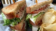 A sandwich at Fiddleheads Cafe