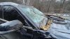 Tree Falls on Car in Sudbury, Injuring Driver