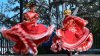 Cinco de Mayo 2022: History, Meaning and Why We Celebrate It