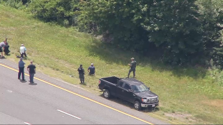 Authorities investigating an apparently injured bear in the median of Interstate 495 in Raynham, Massachusetts.