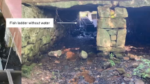 A fish ladder in Jones River in Kingston, Massachusetts, exposed because of a lack of watershared as part of a Massachusetts Drought Task Force presentation given Tuesday, Aug. 23.