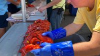 Maine Lobster Festival Returns After 2-Year Hiatus Due to COVID