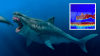 50-Foot ‘Megalodon' Sonar Figure Shocks Shark Researchers Off New England Coast