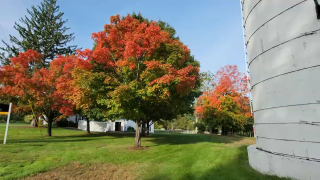 Fall colors in Ashland, Massachusetts, in late September 2022.