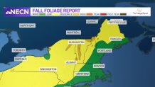 A map showing the fall foliage report across New England as of Monday, Oct. 3, 2022.Northern and western New England are have low fall colors, while southern and eastern New England haven't started changing.