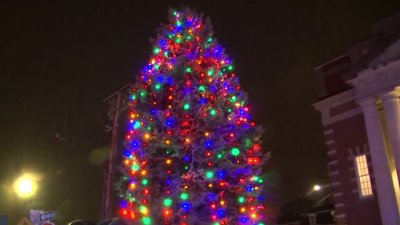 42nd Annual Anderson Tree Lighting Held in Boston's Hyde Park Neighborhood