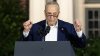 Watch: Senate Majority Leader Chuck Schumer on Midterm Elections: “This Election Is a Victory”