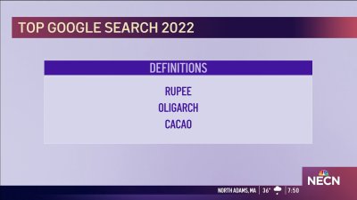 Tech Tuesday: What Were the Top Google Searches of 2022?