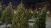 Christmas Tree Prices Skyrocket With High Demand, Low Supply