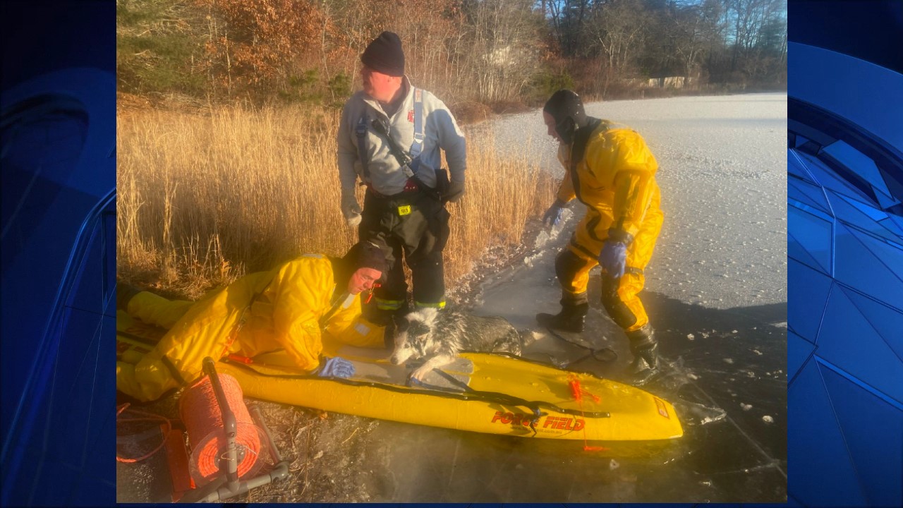 Dog Rescued From Icy Pond in Wareham, MA – NECN
