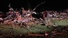 Mississippi Tornadoes Kill 23, Injure Dozens Overnight