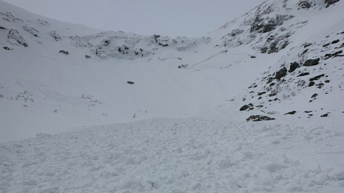 NH Avalanche Snowboarder Survive Video Shows – NECN

 | Pro IQRA News