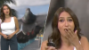 Photobombing Pigeon Startles Florida Meteorologist on Live TV