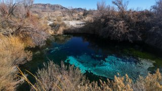 Crystal Springs boardwalk at Ash Meadows National Wildlife Refuge, seen in January.