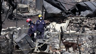 Search and rescue crews look through the remains of a neighborhood on August 17, 2023 in Lahaina, Hawaii. 